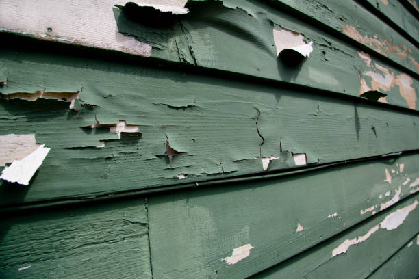 Best Residential Junk Removal  in Warsaw, KY
